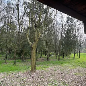 Woods Verona