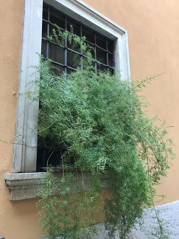 Apartment Residenza Sottoriva 19 Verona Italy